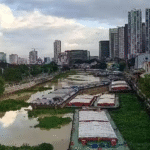 BGC Loop
