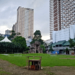 Before the rain