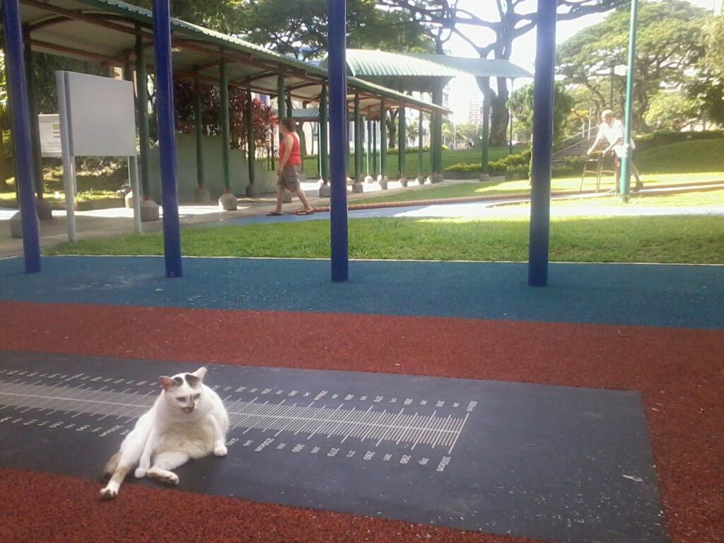 Central, Singapore