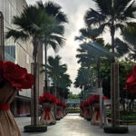 Cloudy Day