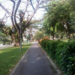 My last run.