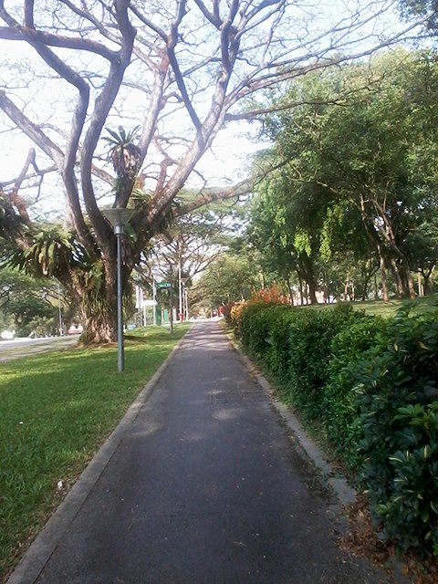 My last run.