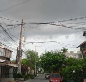 The hood